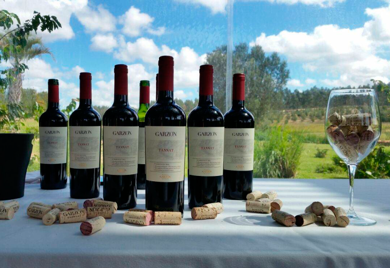 Bodega Garzón