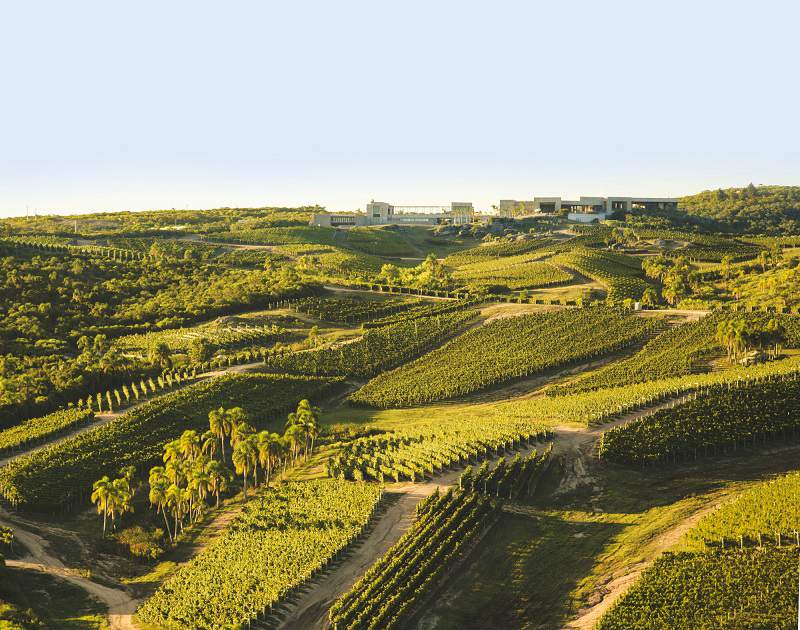 Bodega Garzón, Uruguay