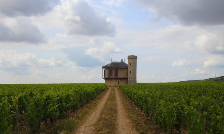 Vinos del mundo: Burdeos