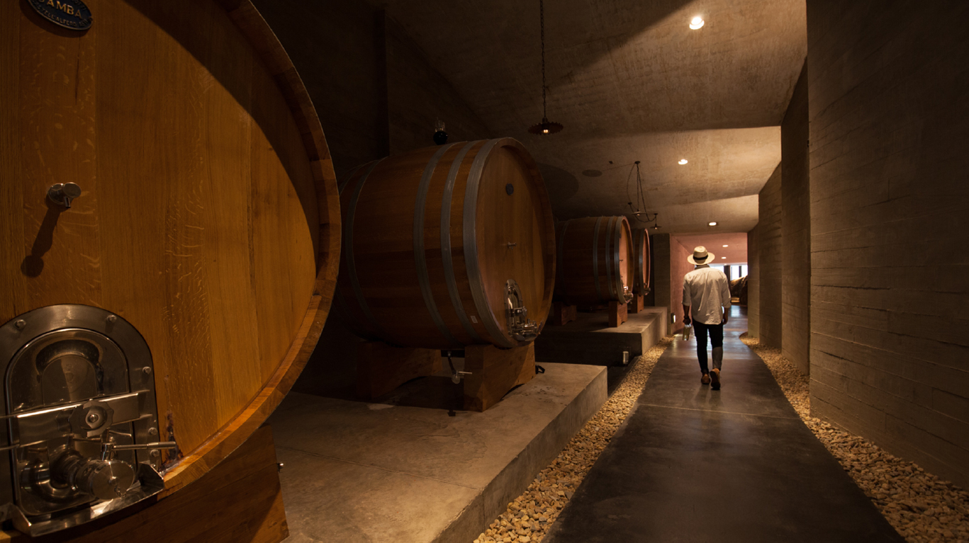 Discover our winery