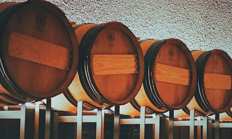Fermentación alcohólica: qué es y cómo afecta al vino
