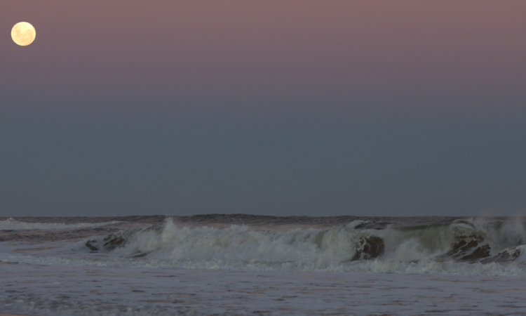 Playas de Punta del Este: fotografías de sus rincones más bellos