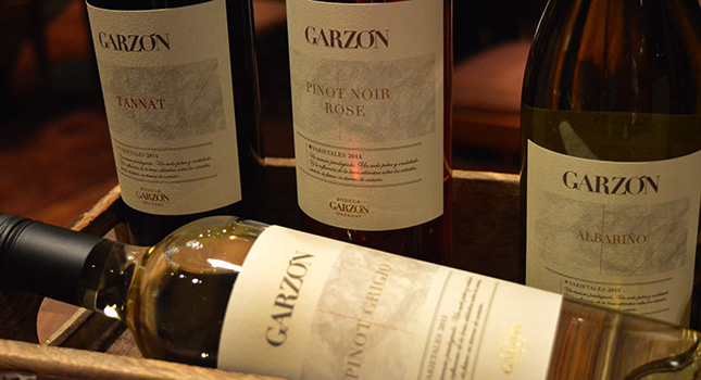 Wine labels: learn to read them with Bodega Garzón